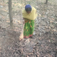 Villagers can now collect dry leaves for fuel from the forest on the Makino Raghunath Mountain. Earlier, they would have to walk long distances to get firewood.